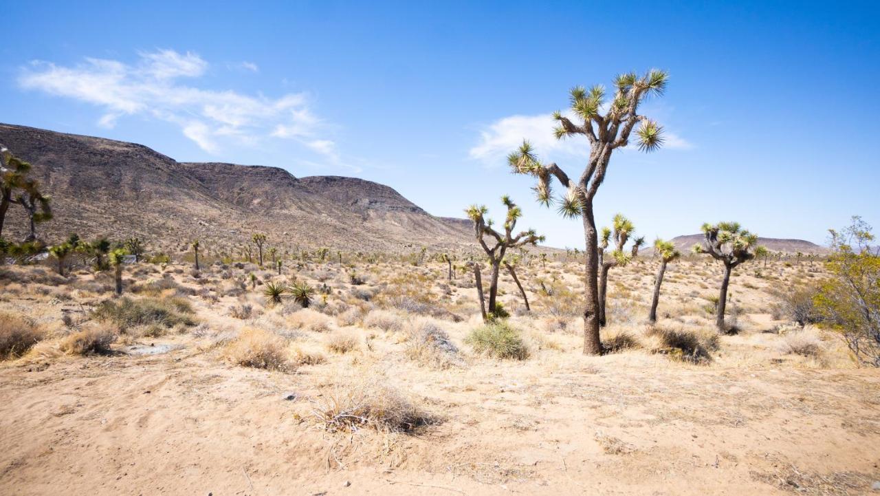 Hotel Wind Hill Yucca Valley Exterior foto